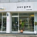 오로지플레르 이미지