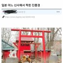 여우 PC방 이미지