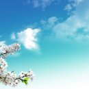 이지더원 이미지