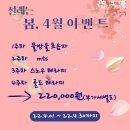 앤다미 Daum카페