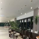 오션패밀리호텔 | 영덕 오션뷰 숙소 파나크 소노 호텔 슈페리어 오션 패밀리 주말 숙박후기