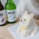 왈테이블 | 인천 강아지 생일 케이크 왈테이블 원데이클래스 방문후기