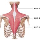 럭스필
