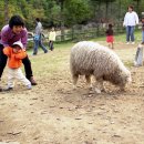 똘똘이 목장 이미지