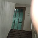 하루 일기