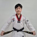 MTA용인대충효태권도장 이미지