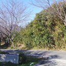 웅천친수공원 이미지