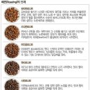 투샷 커피 이미지