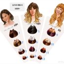 헤어컬러