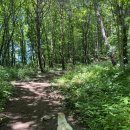 (주)디자인결 | 30대 화잘먹세럼 추천 슬로우퓨어 수분결세럼 극건성이 사용해본 수분세럼 솔직 후기