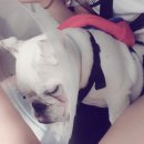 송하동물병원 이미지