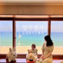 열무열차 이미지