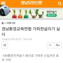 정촌초등학교 이미지