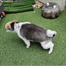 멍마르뜨 이미지