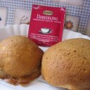 로티보이 이미지