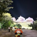 270-1602 | 마쓰야마 여행 필수코스 마쓰야마성 야경 및 운영시간 축제