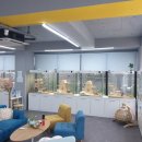 파주고양이미용 반하나캣 이미지