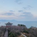 동백카페 티스토리