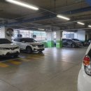 엘디스리젠트 이미지