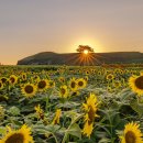 연천 호로고루 이미지