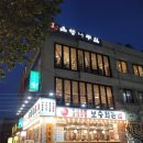 을지로 모임장소 종로 은행나무집 45만원 내돈내산 솔직후기