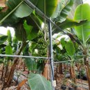 양남농장 이미지