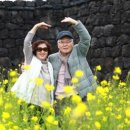 더 특별한 제주 여행