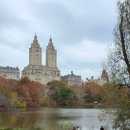 늘푸른어린이공원 공중화장실 | NEW YORK, day4 / 할랄가이즈, 센트럴파크(쉽미도우, 베데스다 테라스, 더몰, 보우 브릿지)