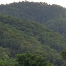 대구지방법원 영덕지원 이미지