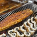 불수성풍천장어 이미지