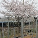 마음농장 이미지