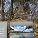 출렁다리 | 마장호수 출렁다리 완벽 후기｜주차장 꿀팁부터 수상자전거·포토존 산책까지