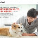 코인 이미지