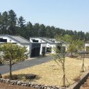 팻팸제주 이미지