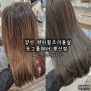포그룸헤어