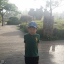 더불어 사는터 이미지