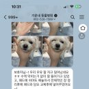 기운내 동물병원 이미지