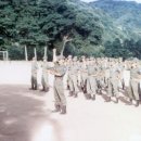 브라보