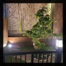 선주한정식 이미지