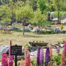 동화마을 이미지