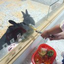 본전낚시 할인매장 앞 | 하남 곰꼬마 끝판왕 후기｜비 오는 날 살려준 실내 동물 체험(토끼·새장·낚시·수업)