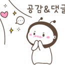 이디야커피북면점 이미지