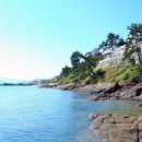 아라스파펜션 이미지