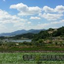 위양지 관광농원 이미지