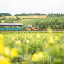 대구팜투어주 투어코리아