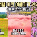 국내 여행 추천 놓치면 후회할 가을의 시작 9월 여행 명소 BEST 10 이미지