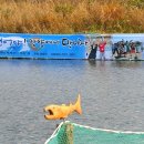 [가을축제] 2012 양양연어축제 관람기 이미지