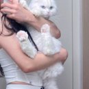 대전본동물병원 이미지