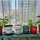 서울농약종묘사 이미지