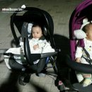 알콩이네 이미지